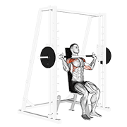 single smith shoulder press demonstration