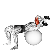 wall style dumbbell one arm french press on exercise ball demonstration