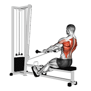 cable low seated row controlled demonstration