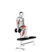 dumbbell step up single leg balance with bicep curl - chair variation demonstration