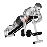 dumbbell one arm prone hammer curl - macro variation demonstration