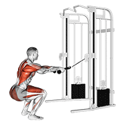 cable squat row (with rope attachment) heavy demonstration