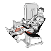 Seated Leg Curl demonstration