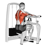 lever reverse grip vertical row demonstration