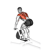 T-Bar Row with Handle demonstration