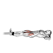 band lying straight leg raise demonstration