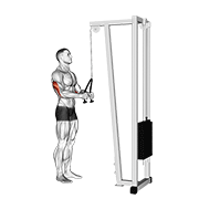Triceps Pushdown - Rope Attachment demonstration