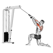 cable kneeling rear delt row (with rope) (male) expanded demonstration