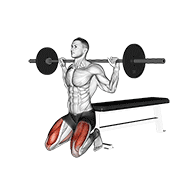 barbell squat (on knees) with pure demonstration
