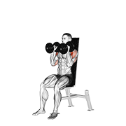 dumbbell seated shoulder press (parallel grip) demonstration
