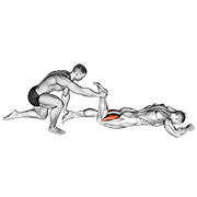flexible assisted prone hamstring demonstration