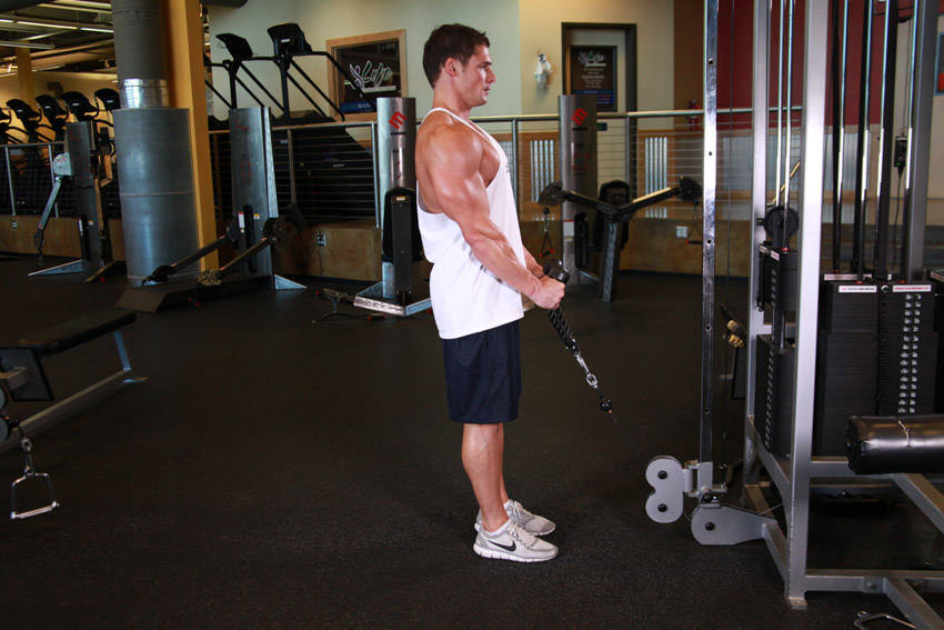 Cable Hammer Curls - Rope Attachment demonstration