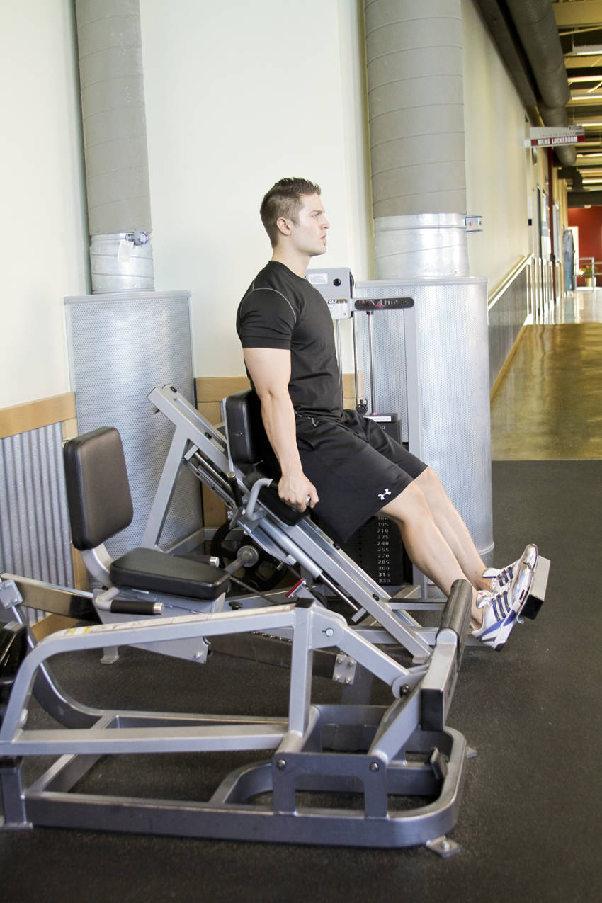 Calf Press demonstration