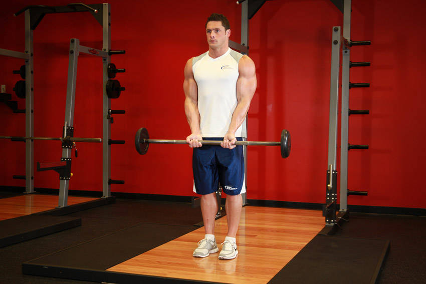 Close-Grip Standing Barbell Curl demonstration