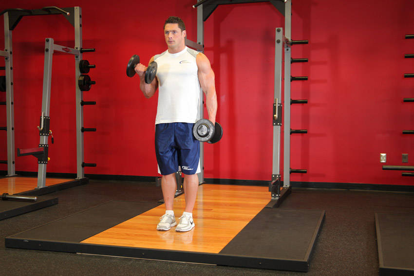 Dumbbell Alternate Bicep Curl demonstration