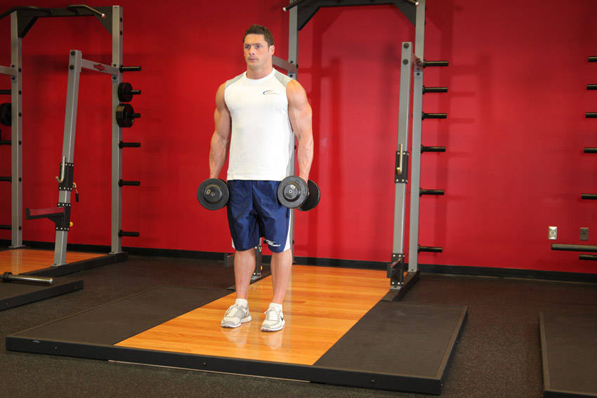 Dumbbell Bicep Curl demonstration