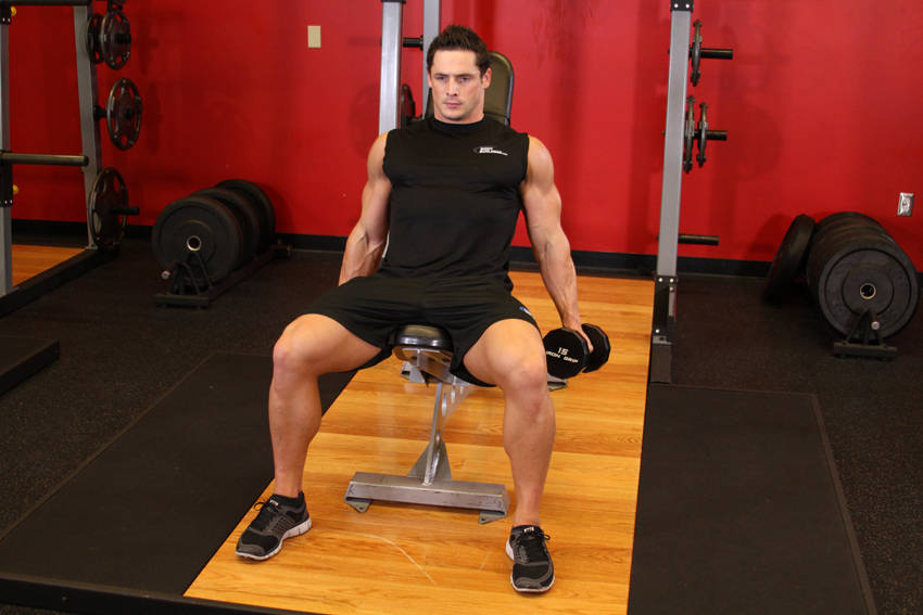 Flexor Incline Dumbbell Curls demonstration