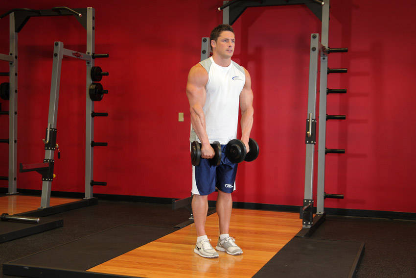 Front Dumbbell Raise demonstration