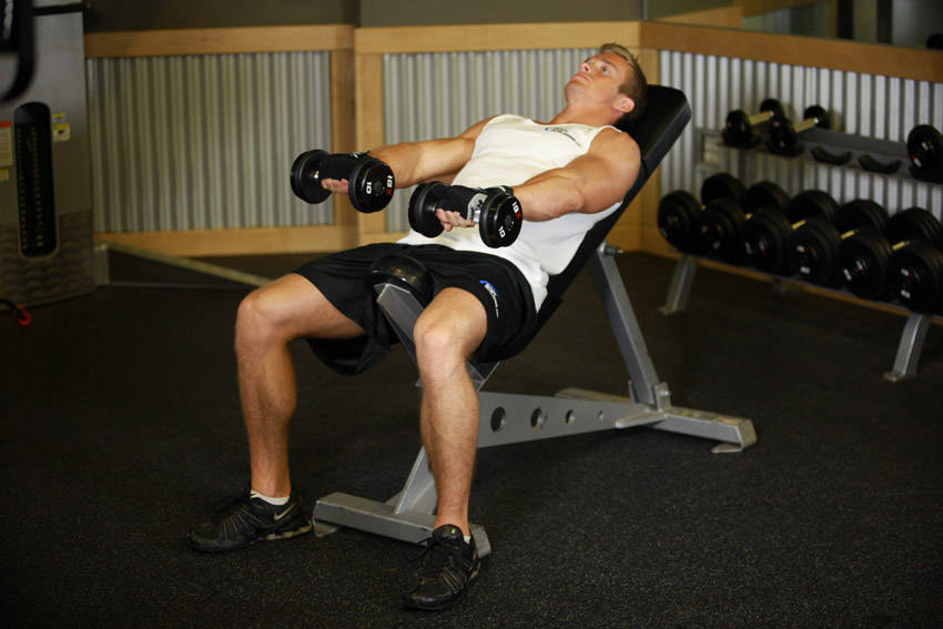 Front Incline Dumbbell Raise demonstration