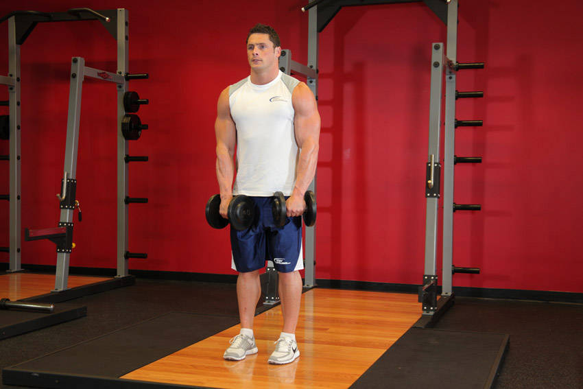 Front Two-Dumbbell Raise demonstration