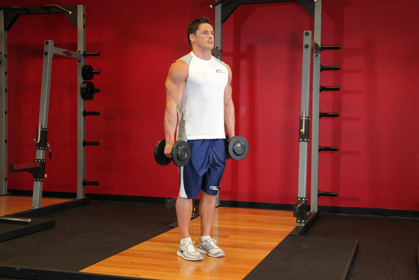 Hammer Curls demonstration