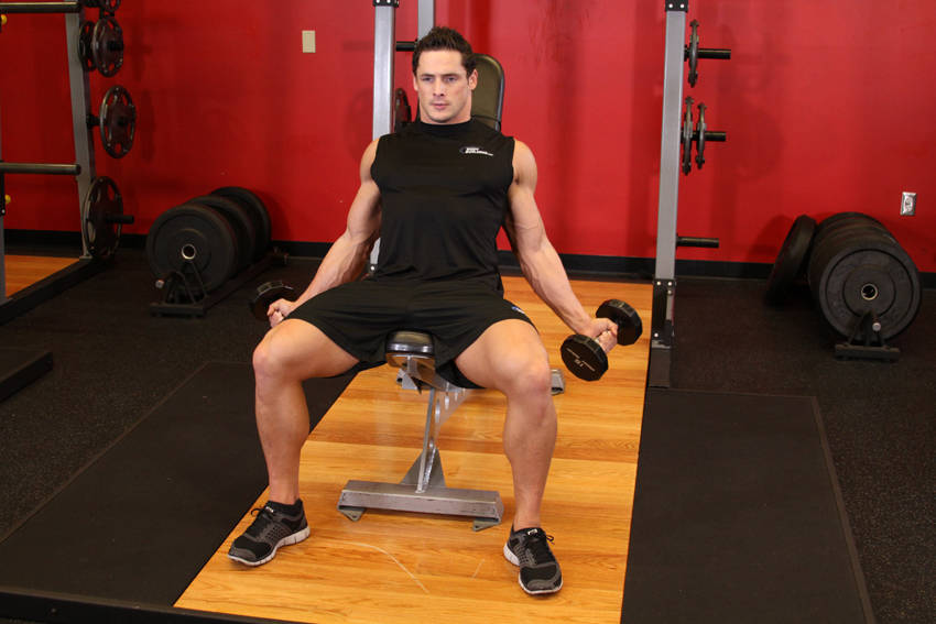 Incline Inner Biceps Curl demonstration