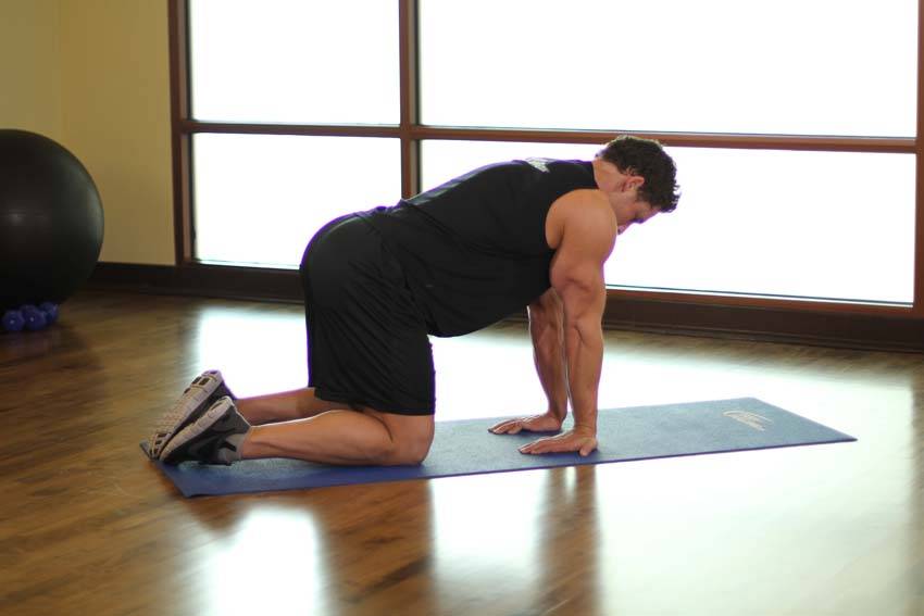 Kneeling Forearm Stretch demonstration