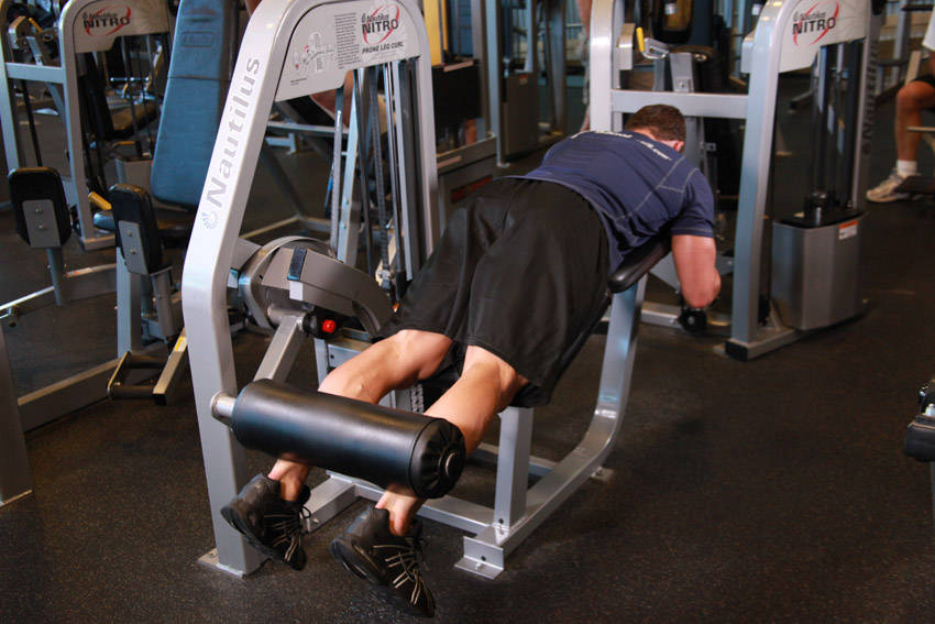 Lying Leg Curls demonstration