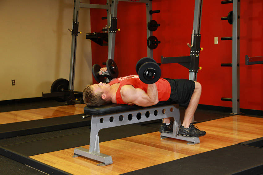 Lying Supine Dumbbell Curl demonstration