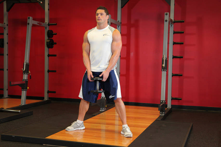 Plie Dumbbell Squat demonstration