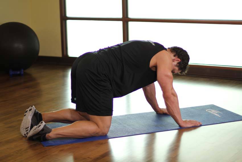 Rear Leg Raises demonstration
