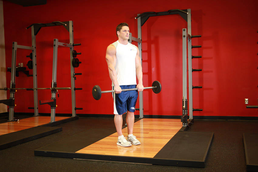 Reverse Barbell Curl demonstration