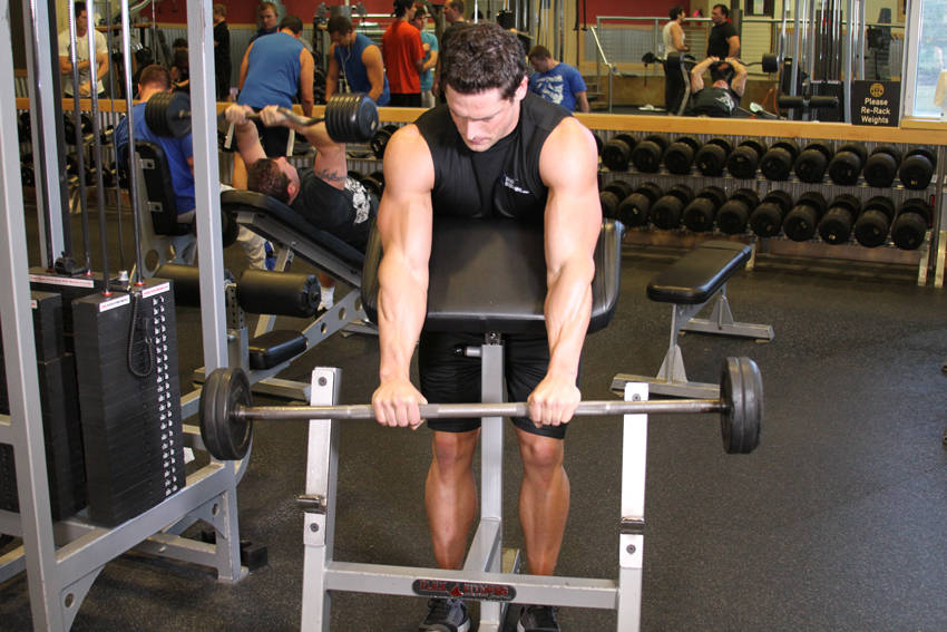 Reverse Barbell Preacher Curls demonstration