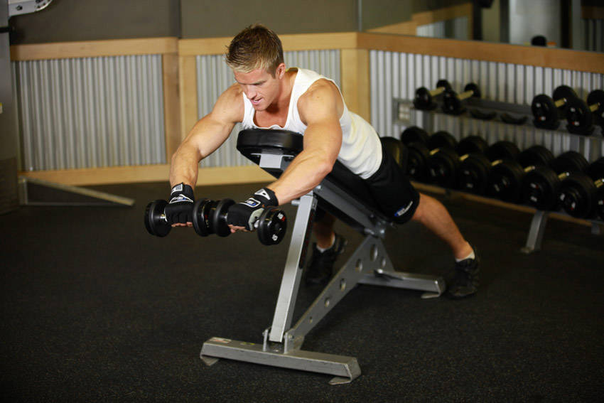 Reverse Flyes With External Rotation demonstration