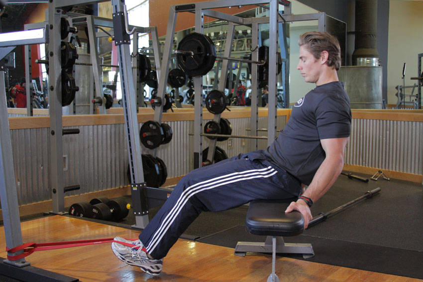 Seated Band Hamstring Curl demonstration