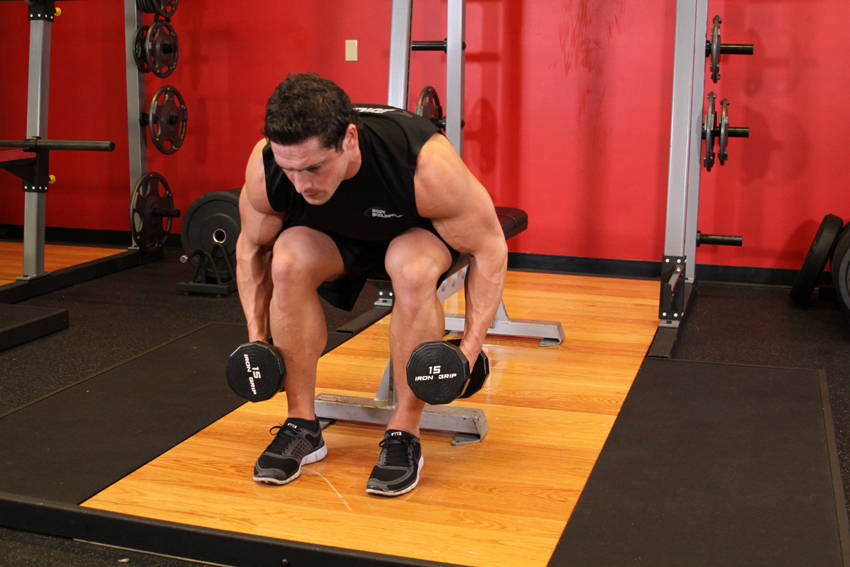 Seated Bent-Over Rear Delt Raise demonstration