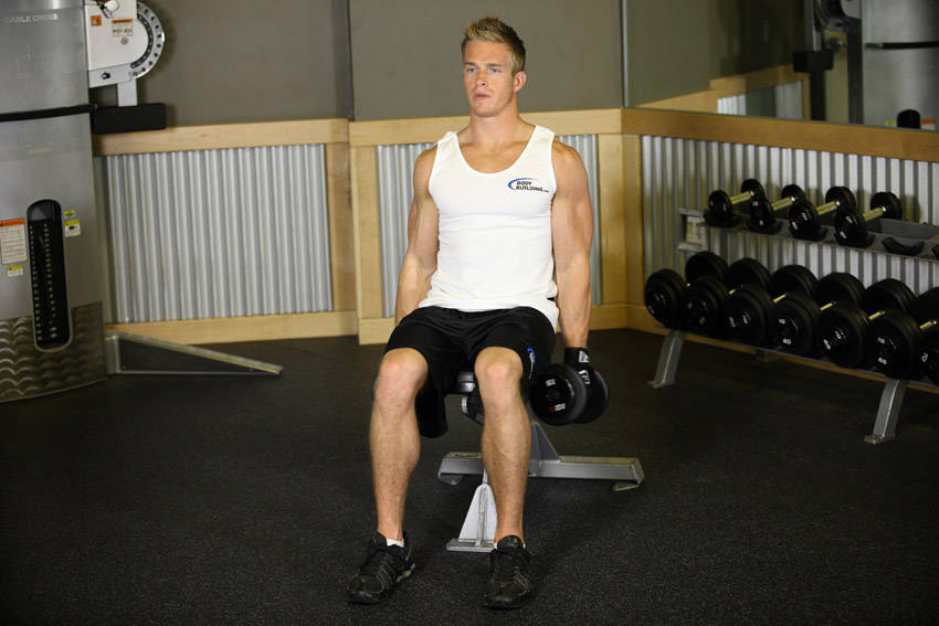 Seated Dumbbell Inner Biceps Curl demonstration