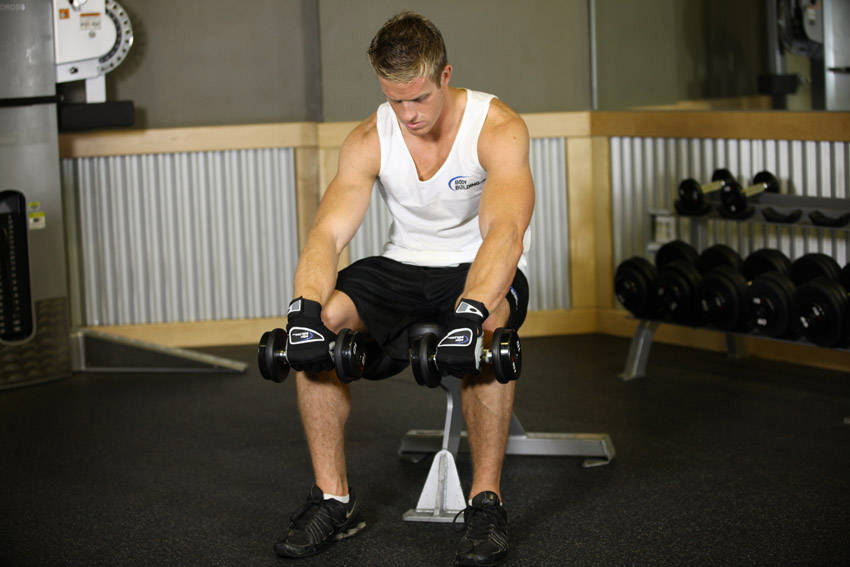 Seated Dumbbell Palms-Down Wrist Curl demonstration