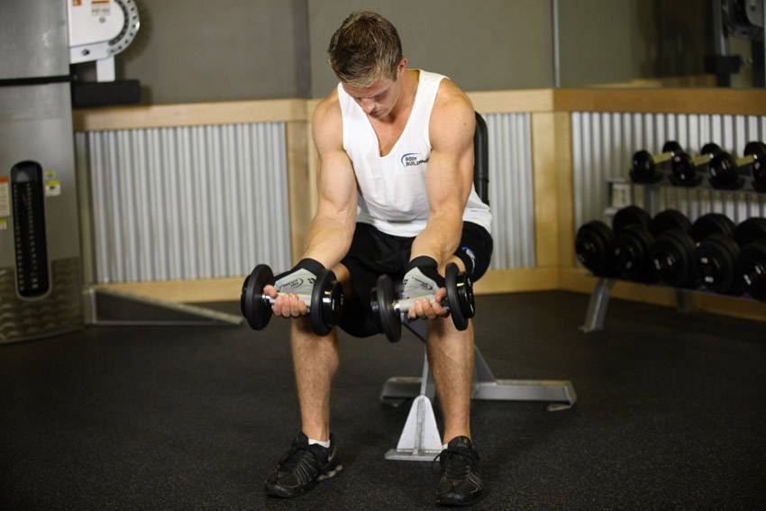Seated Dumbbell Palms-Up Wrist Curl demonstration