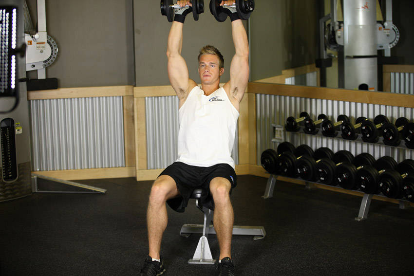 Seated Dumbbell Press demonstration