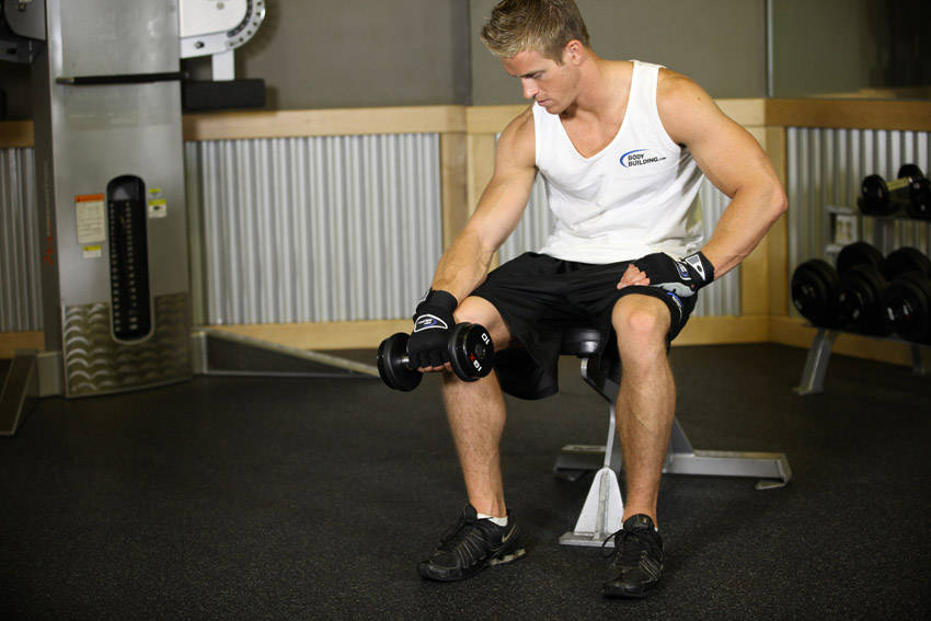 Seated One-Arm Dumbbell Palms-Down Wrist Curl demonstration