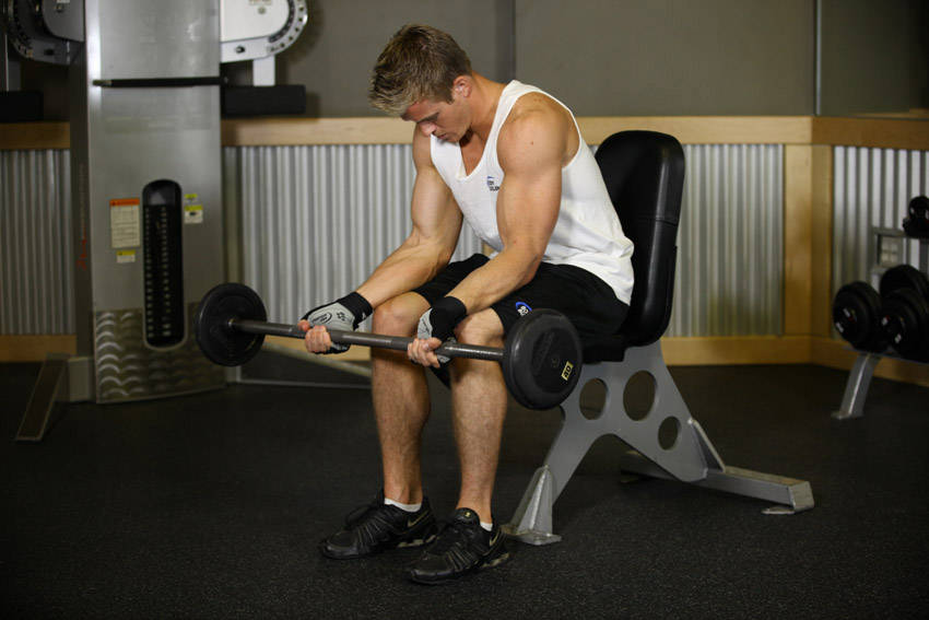Seated Palm-Up Barbell Wrist Curl demonstration