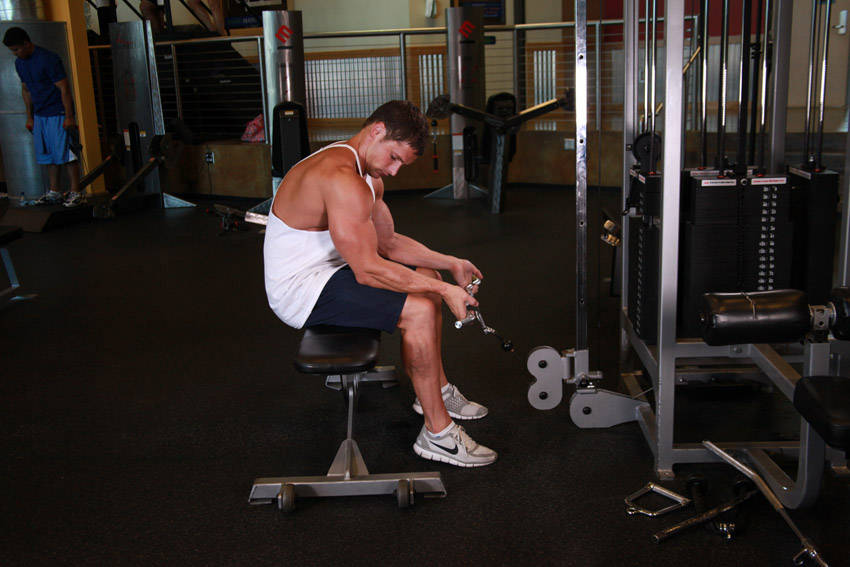 Seated Two-Arm Palms-Up Low-Pulley Wrist Curl demonstration