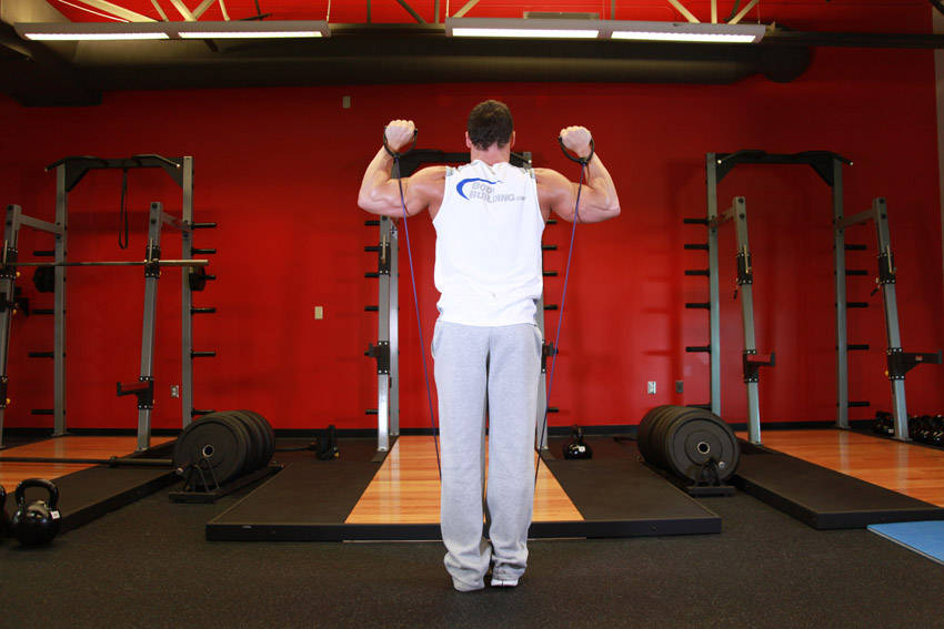Shoulder Press - With Bands demonstration