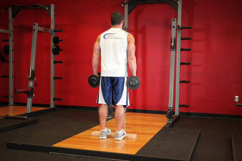 Standing Dumbbell Calf Raise demonstration