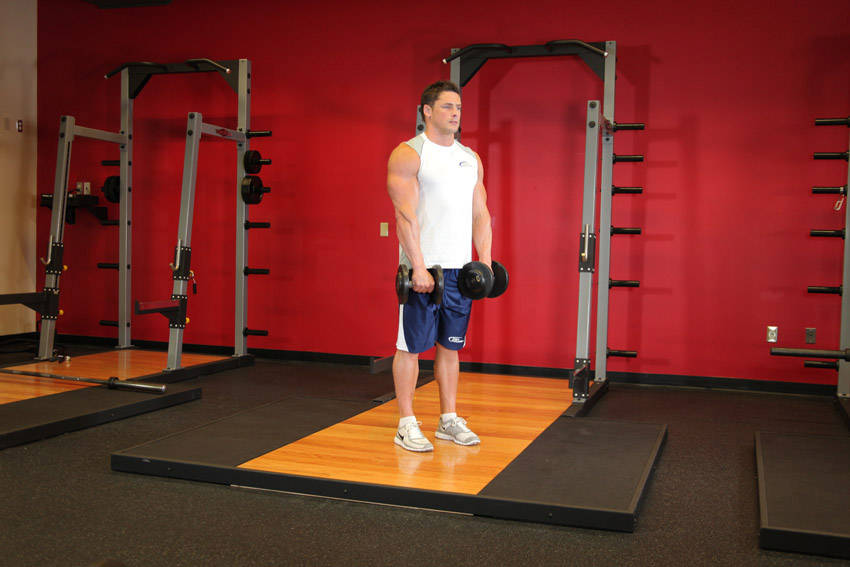 Standing Dumbbell Reverse Curl demonstration