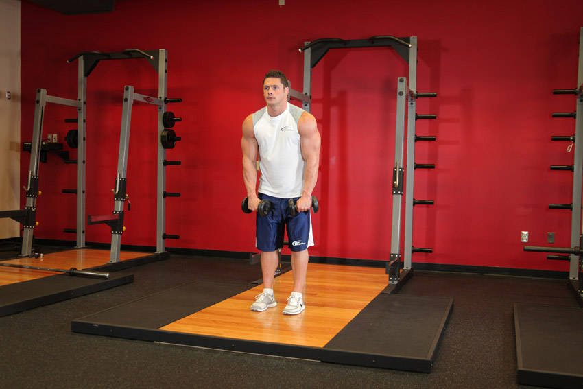 Standing Dumbbell Straight-Arm Front Delt Raise Above Head demonstration
