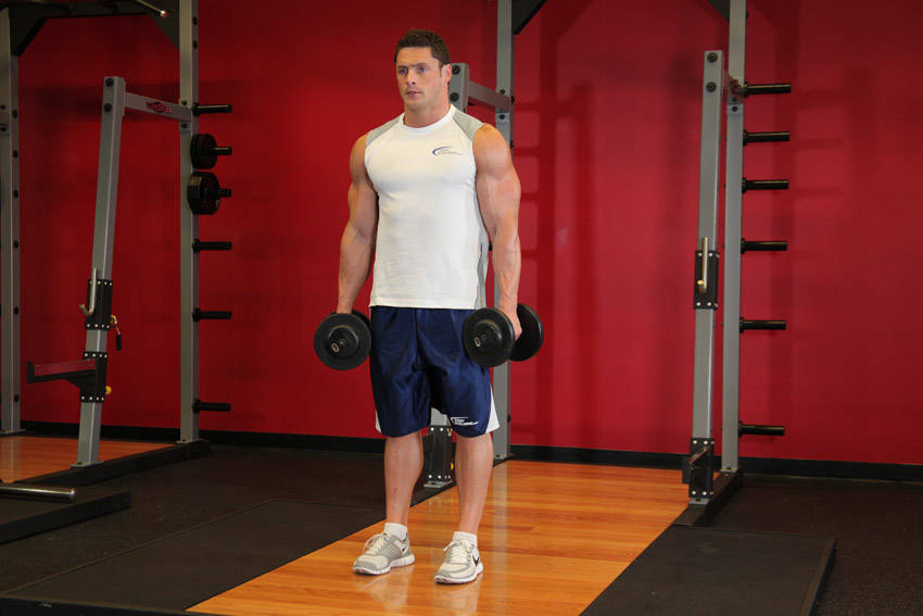Standing Inner-Biceps Curl demonstration