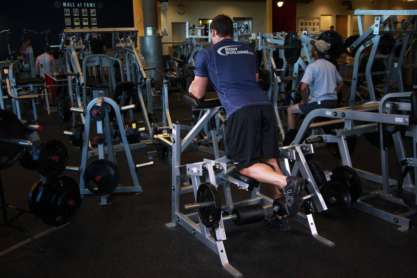 Standing Leg Curl demonstration