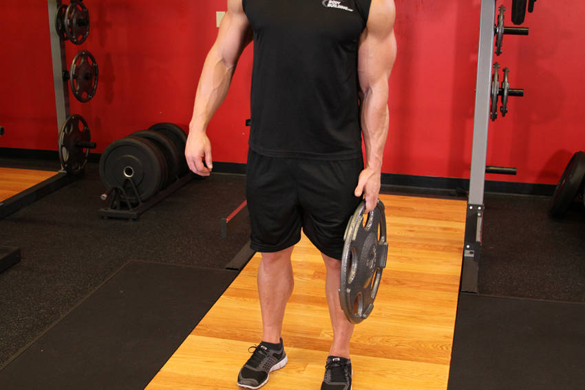 Standing Olympic Plate Hand Squeeze demonstration